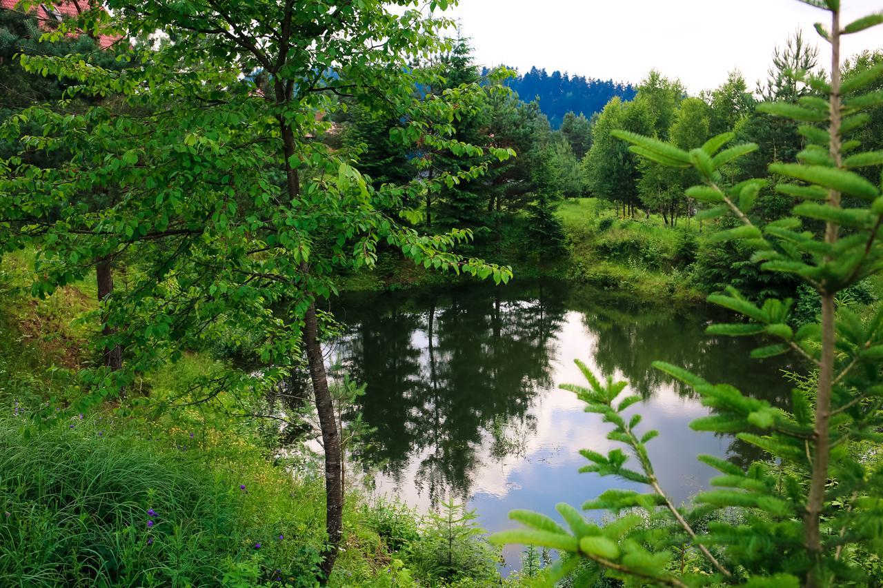 Villa Buhiv Skhidnytsia Esterno foto